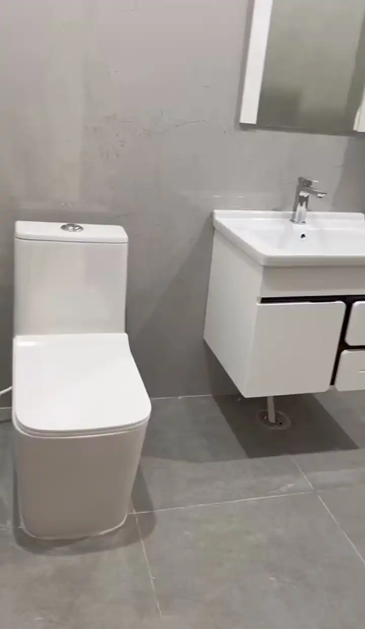 Commercial plumbing work in Lucknow office project